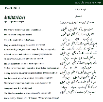Track 3: Mehendi
